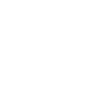 Ai Processor